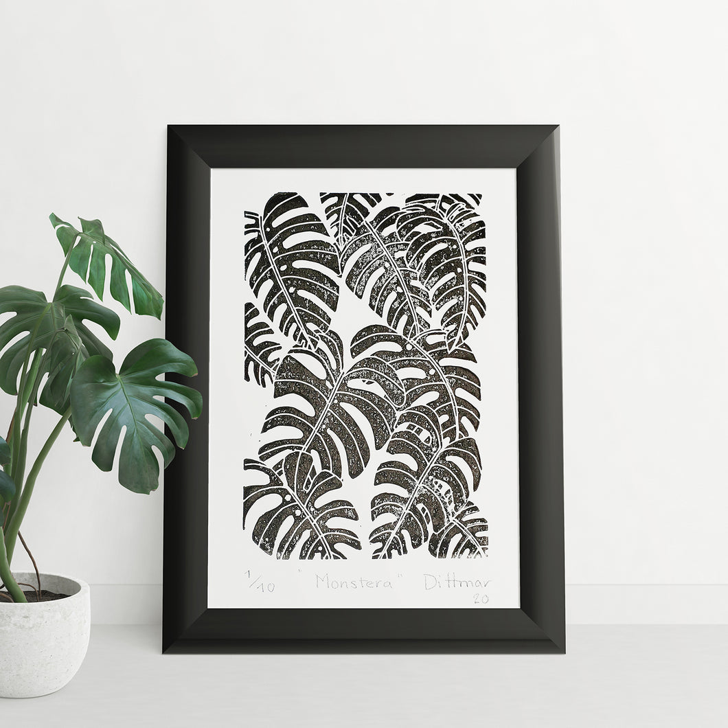 Monstera - Daniel Dittmar